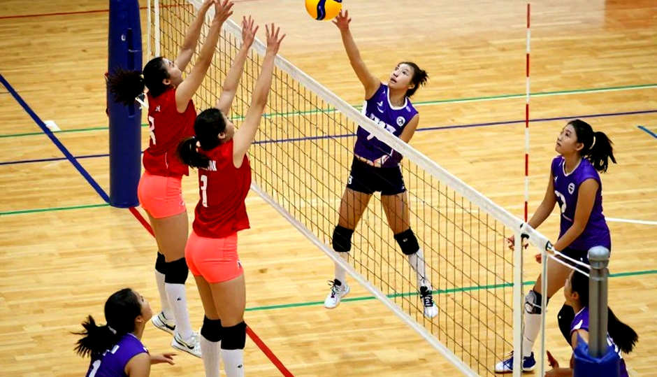 Vietnamese Women's Volleyball: Imports Score the Points, Reception Decides the Title Vietnamese Women's Volleyball: Imports Score the Points, Reception Decides the Title
