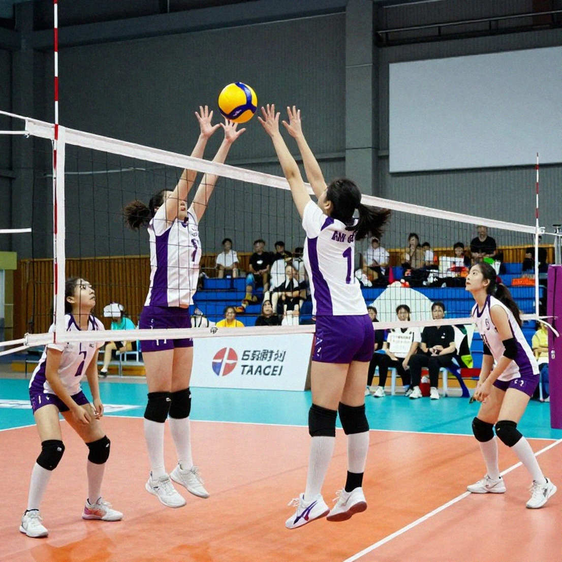 Bóng chuyền Việt Nam cần dữ liệu: Bài học từ một bảng thông số trống rỗng