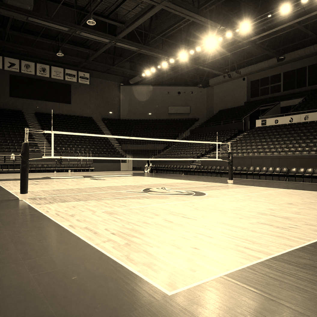 The Data Gap and the Forgotten Voice of Women's Volleyball