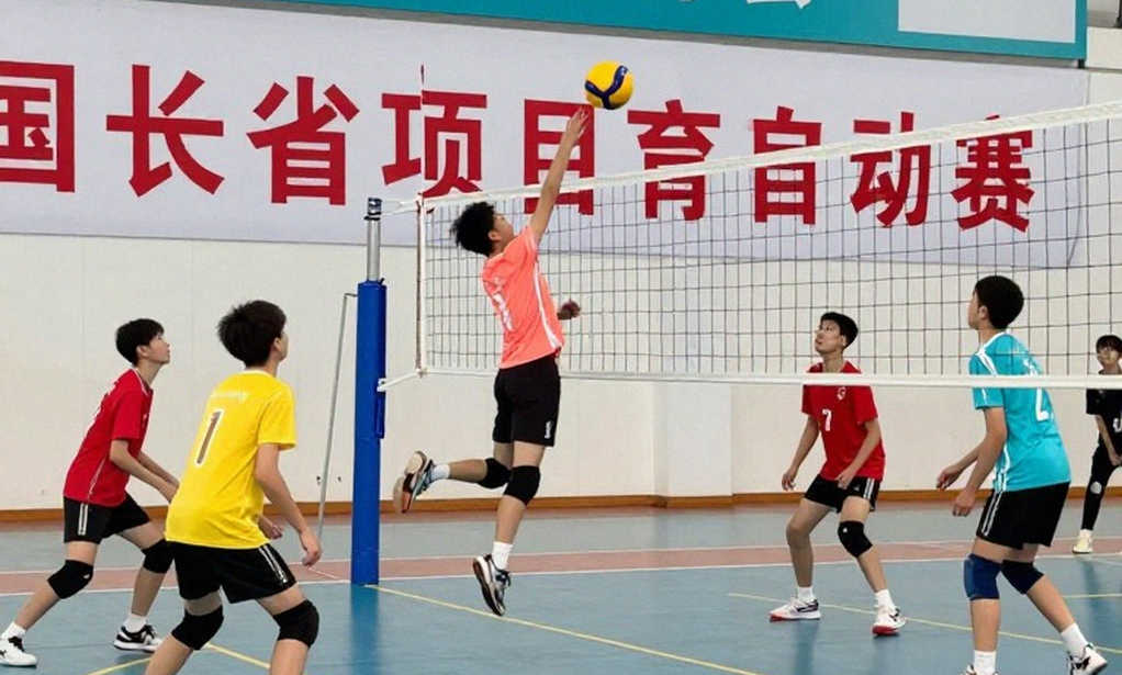 Sasipaporn at Thanh Hoa: What 8, 0 and 18 Points Reveal About an Import